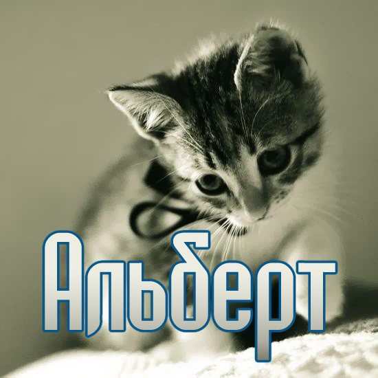Именные открытки на праздники и каждый день для Альберта    