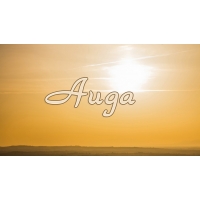 Именные открытки с поздравлениями и пожеланиями для Аиды    