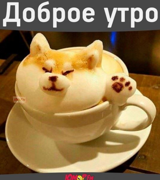 Пожелания хорошего счастливого утра в открытках