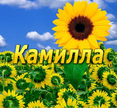 Именные открытки с пожеланиями на день рождения для Камиллы 