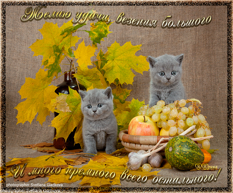 Милые открытки с пожеланиями  всего хорошего. Удачи, счастья 