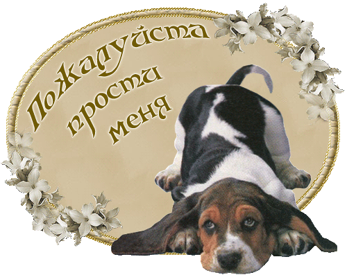 Милые открытки с извинениями на каждый день. Открытки с извинениями 