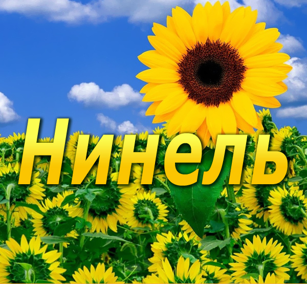 Именные открытки с поздравлениями и пожеланиями для Нинель  