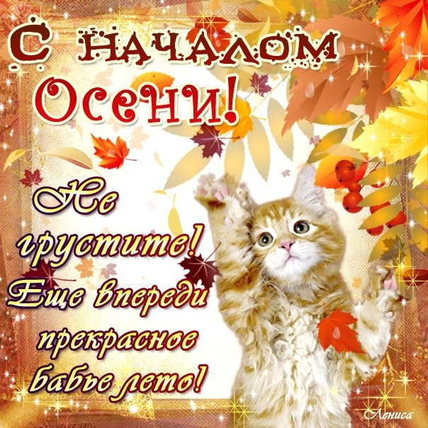Красивые открытки  с первым днем осени. Пожелания хорошей осени 