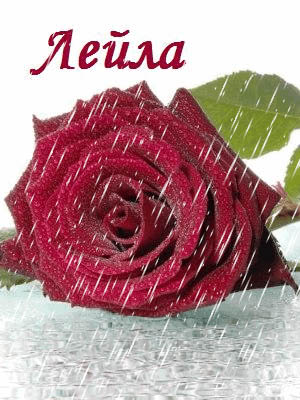 Именные открытки с поздравлениями на день рождения для Лейлы 