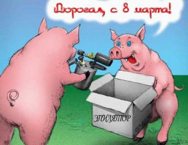 Прикольные открытки на 8 марта. Смешные поздравления для женщин 
