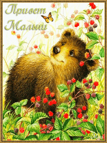 Яркие и красивые открытки с приветствием на каждый  день          