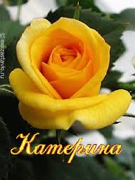 Именные открытки с теплыми пожеланиями и поздравлениями для Катя