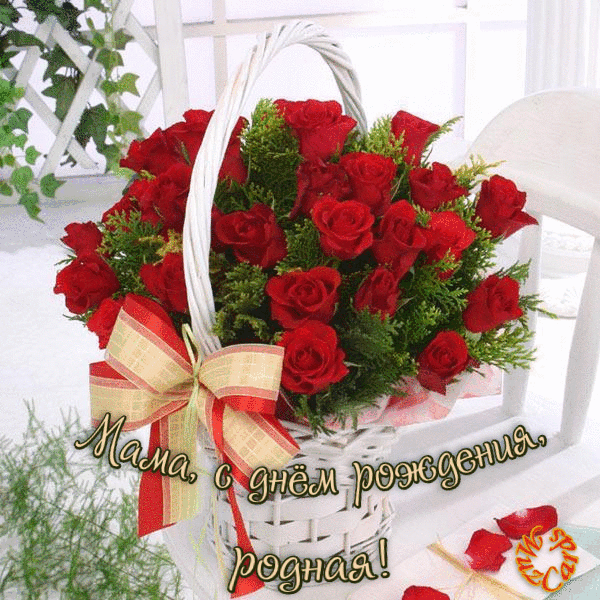 Открытки с днем рождения для мамы. белая корзина с букетом роз