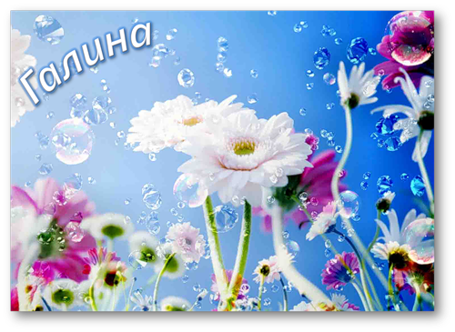 Красивые открытки с поздравлениями на разные праздники для Галины 