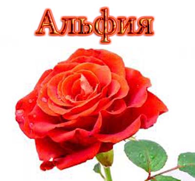 Именные открытки с пожеланиями и поздравлениями для Альфии   