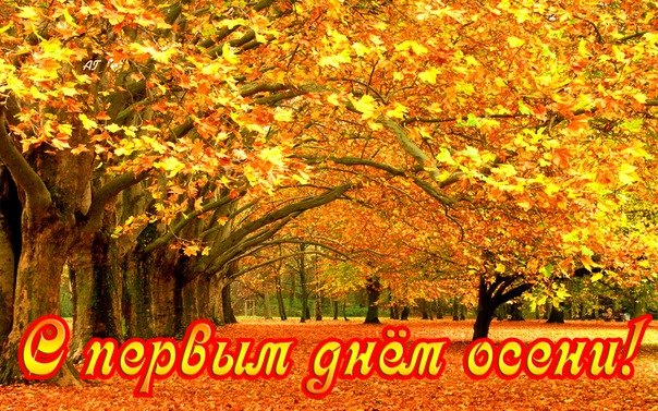 Красивые открытки  с первым днем осени. Пожелания хорошей осени 