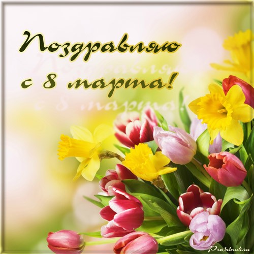 Красивые открытки с тюльпанами на 8 марта                    