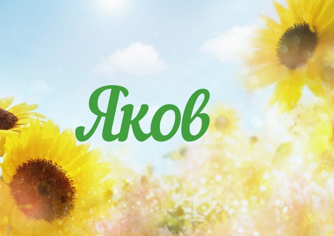 Яркие и красочные именные открытки для Якова                