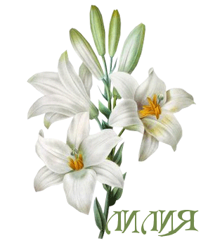 Именные открытки с пожеланиями и поздравлениями для Лилии    
