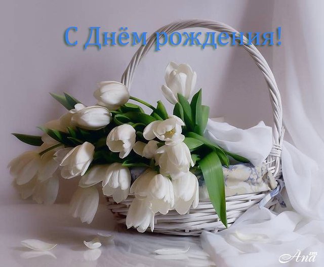 Красивые открытки с тюльпанами на день рождения              