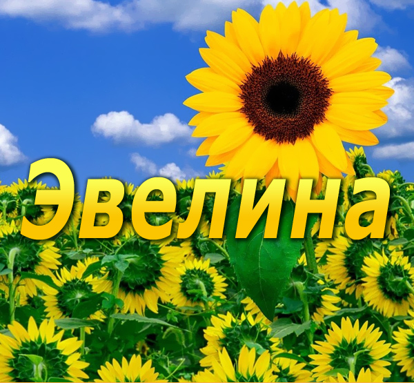 Именные открытки на праздники и каждый день для Эвелины       