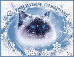 Красивые  открытки с первым зимнем днем. Первый день зимы   