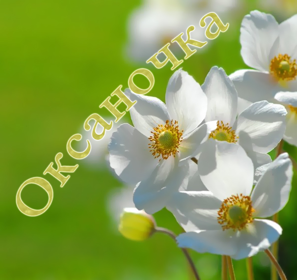 Именные открытки с поздравлениями для Оксаны и Ксюши         