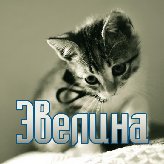 Именные открытки на праздники и каждый день для Эвелины       