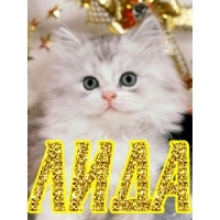 Красивые именные открытки с пожеланиями и поздравлениями для Лидии 