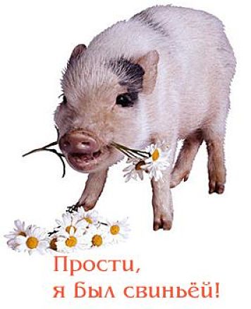 Милые открытки с извинениями на каждый день. Открытки с извинениями 