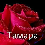 Именные открытки с поздравлениями и пожеланиями для Тамары  