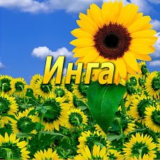 Именные открытки с пожеланиями и поздравлениями на день рождения для Инги 