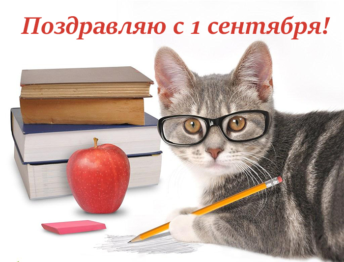Открытки с приколами на день знаний. С 1 сентября                 
