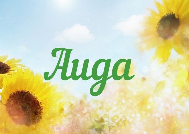 Именные открытки с поздравлениями и пожеланиями для Аиды    