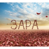 Именные открытки  с поздравлениями и пожеланиями для Зары    