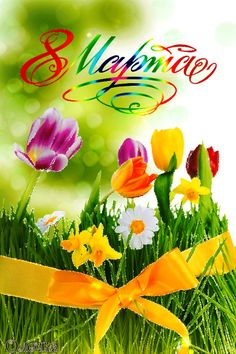 Красивые открытки с тюльпанами на 8 марта                    