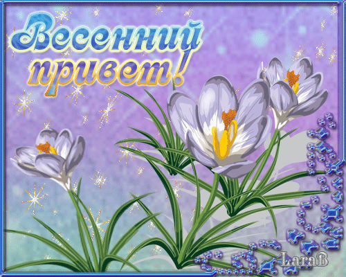 Красивые и милые открытки с пожеланиями хороших весенних каникул 