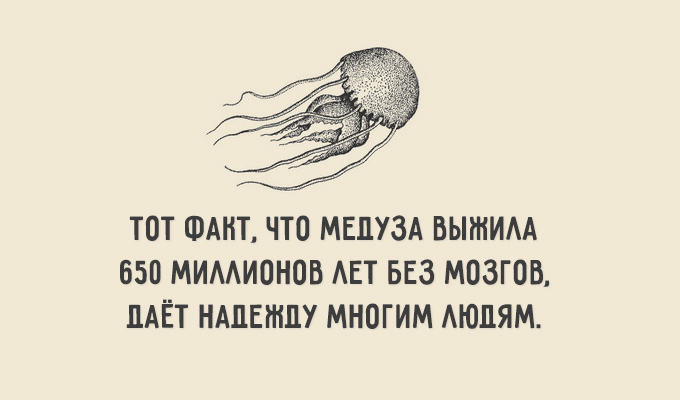 Остроумные открытки с приколами на каждый день. Картинки с юмором 