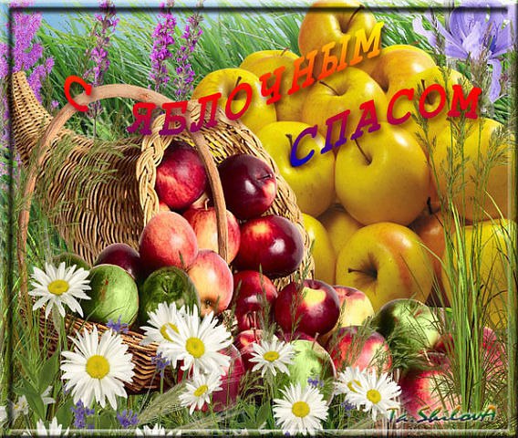 Яркие и красивые открыт на святой праздник яблочный спас    