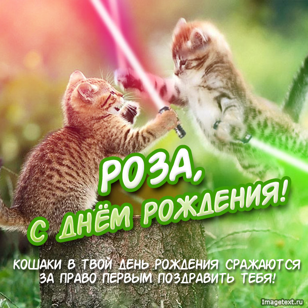 Открытки Именные открытки с поздравлениями и пожеланиями для Розы     Открытки с поздравлениями и пожеланиями на день рождения для Розы. Именные открытки на день рождения Розы. С Днем Рождения, Роза. Открытки с именем Роза.                 