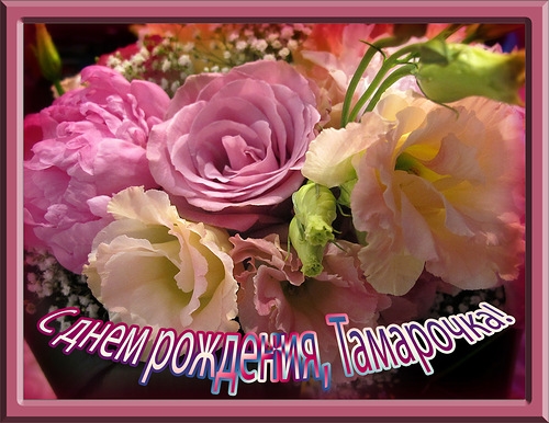 Именные открытки с поздравлениями и пожеланиями для Тамары  