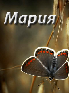 Красивые именные открытки с поздравлениями и пожеланиями для Марии 