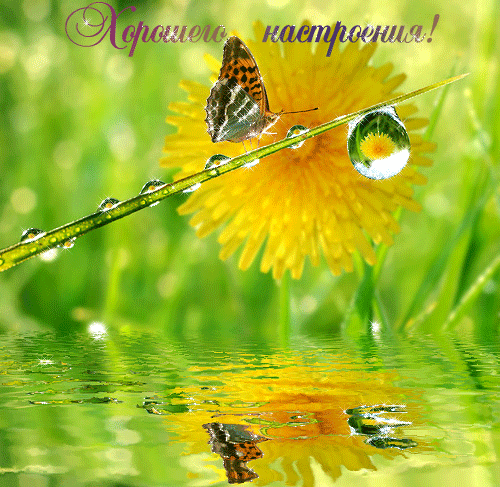 Яркие и красивые открытки с пожеланиями хорошего настроения 