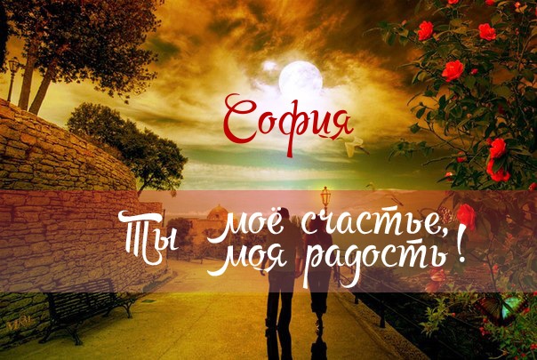Именные открытки с поздравлениями и пожеланиями для Софии   