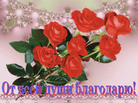 Милые открытки на каждый день с благодарностью. Спасибо большое 