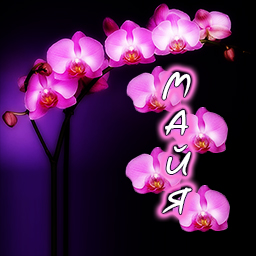 Именные открытки с поздравлениями  и  пожеланиями для Майи   