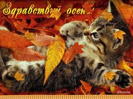 Красивые открытки  с первым днем осени. Пожелания хорошей осени 