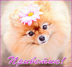 Яркие и красивые открытки с приветствием на каждый  день          