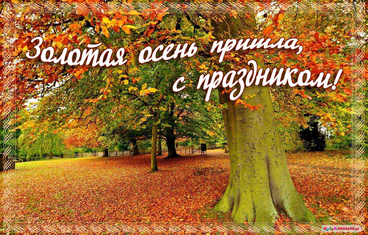 Красивые открытки  с первым днем осени. Пожелания хорошей осени 