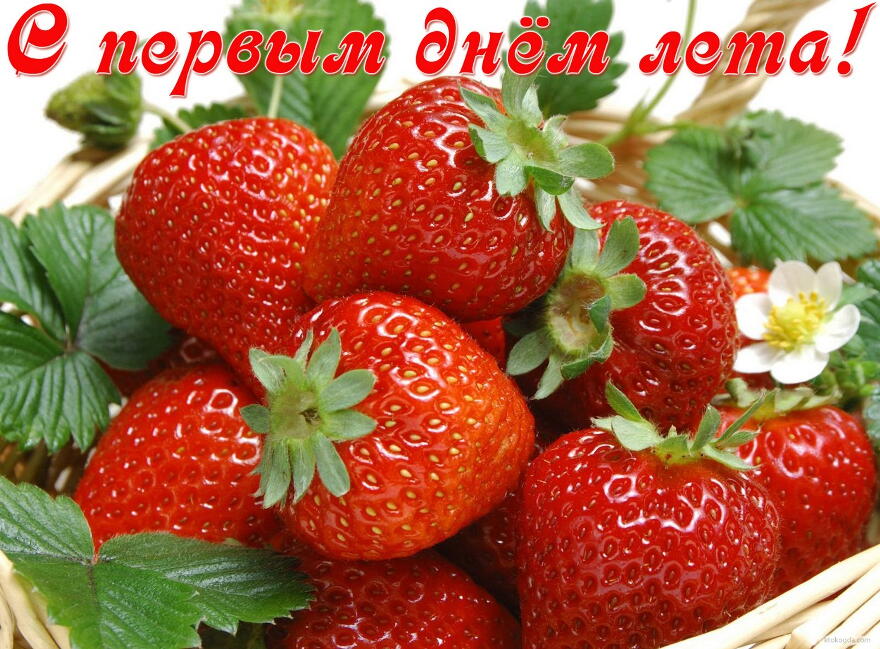 Яркие открытки с первым днем лета. Хорошее начало лета       
