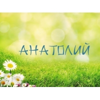 Именные открытки с поздравлениями и пожеланиями для Анатолия 