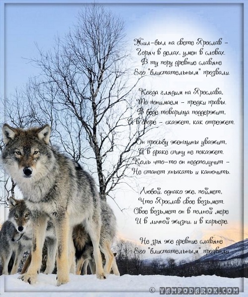 Яркие и красочные именные открытки для Ярослава                 