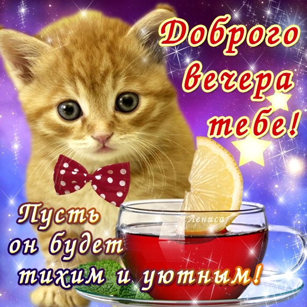 Красивые открытки с пожеланиями доброго вечера. Доброго Вечера 