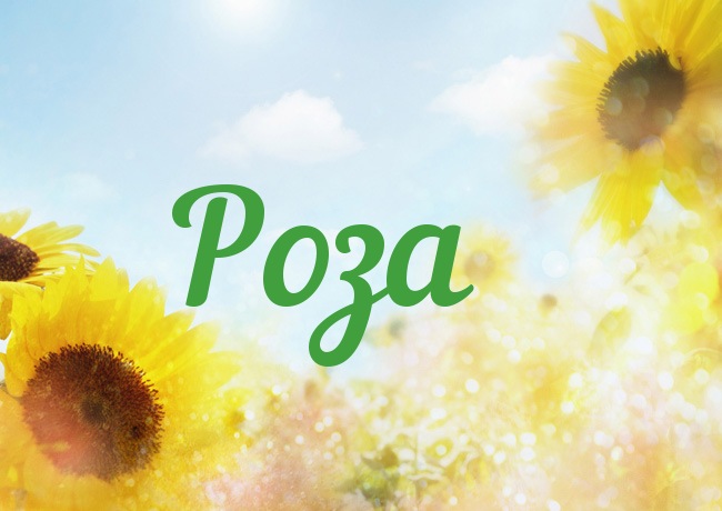 Именные открытки с поздравлениями и пожеланиями для Розы    